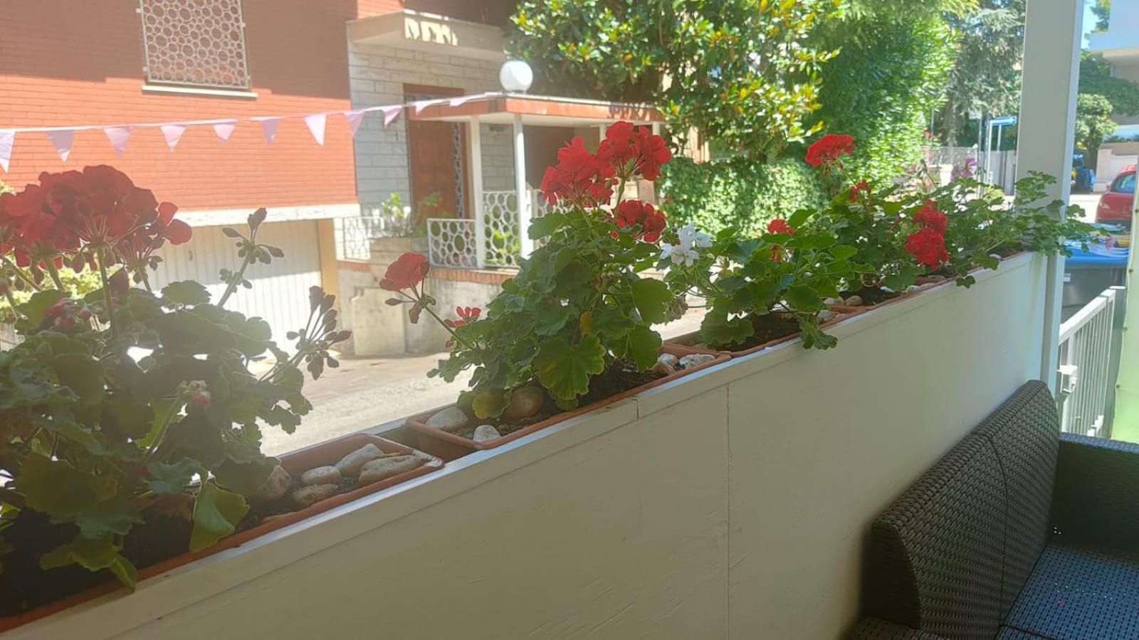 Hotel Eriale Rimini Eksteriør bilde